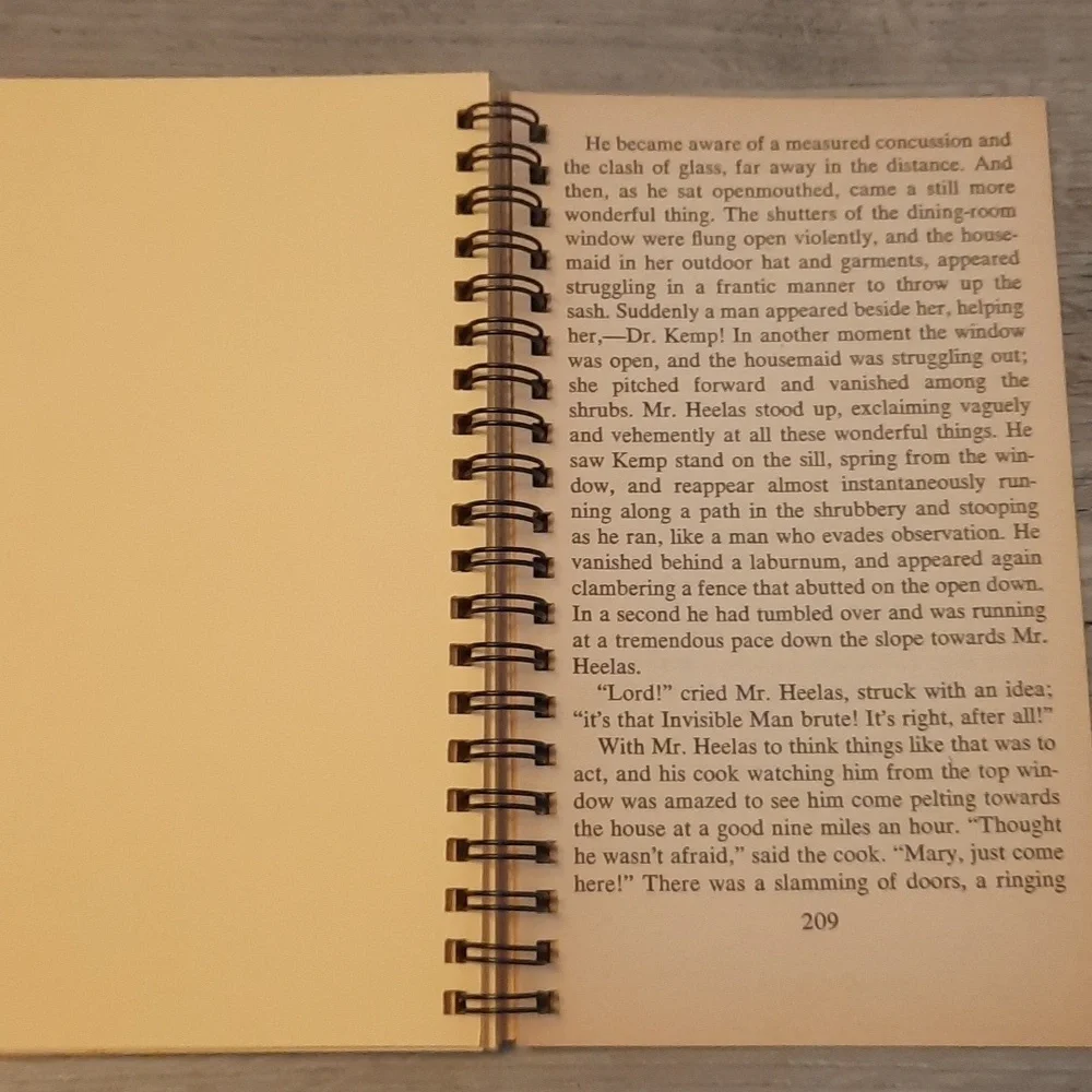 Secret Journal "The Invisible Man" - Picture 4 of 6